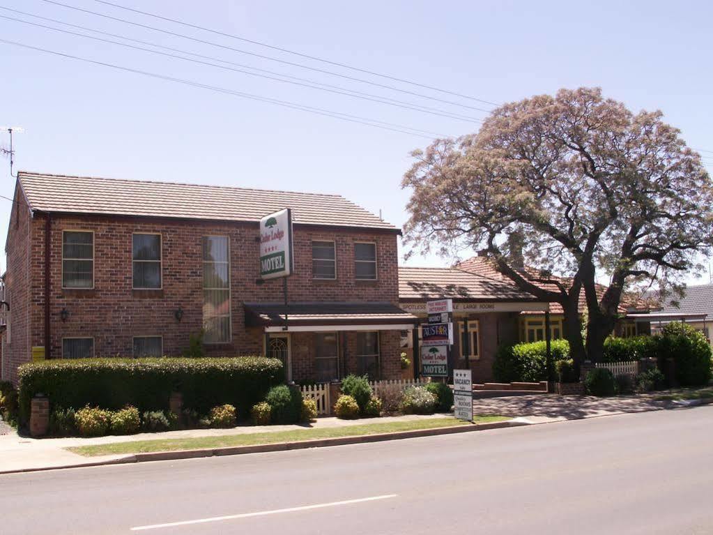 Cedar Lodge Motel Armidale Exteriér fotografie
